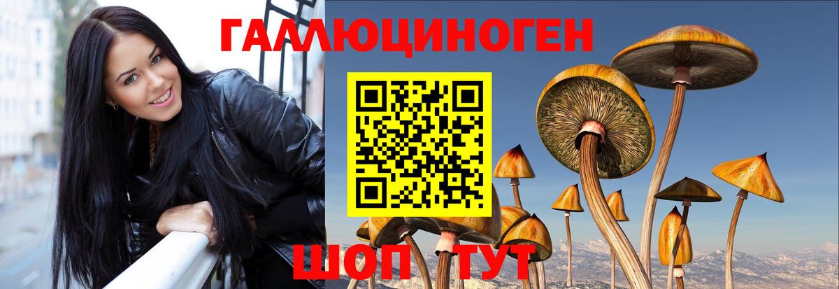 Галлюциногенные грибы прущие грибы  Вход с VPN  Псилоцибиновые грибы мухоморы  Орехово-Зуево 